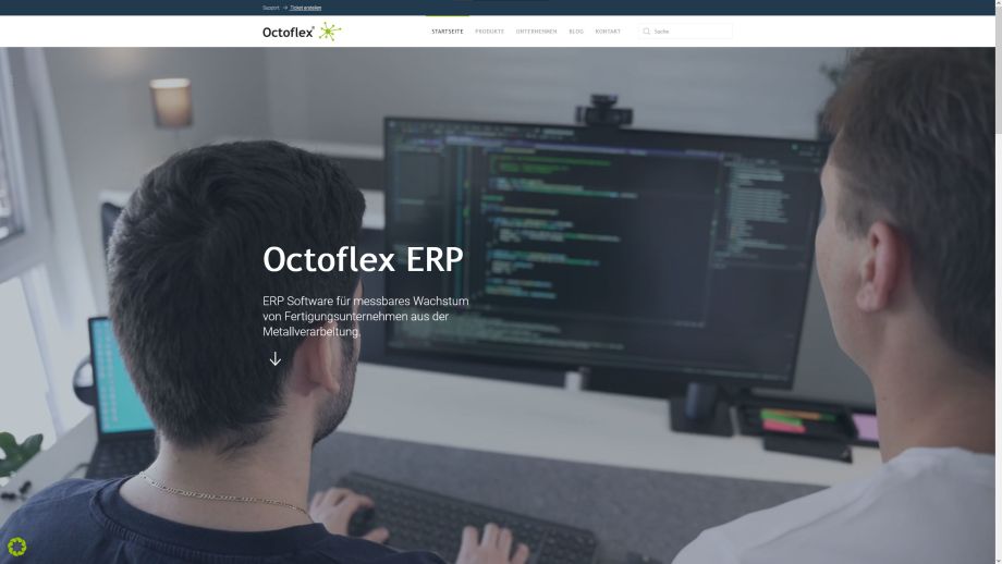 Web Design Portfolio MediaFish | Ocotflex ERP Software