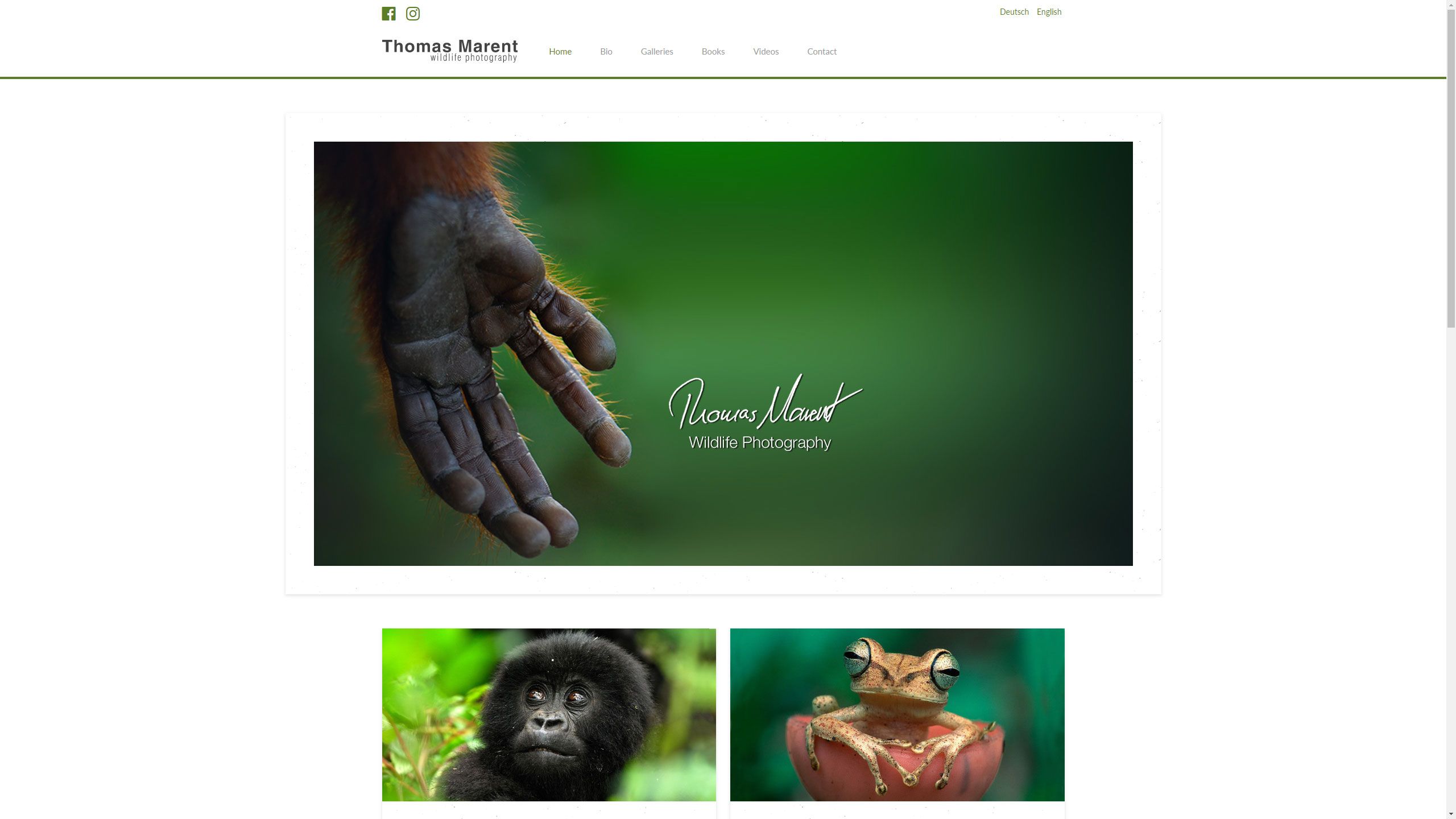 MediaFish Webdesign - Thomas Marent Wildtier und Naturfotograf