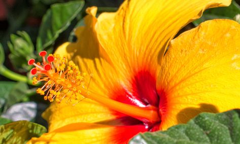 Flower Power Centro de Jardinería - Photo © Sven Grossenbacher