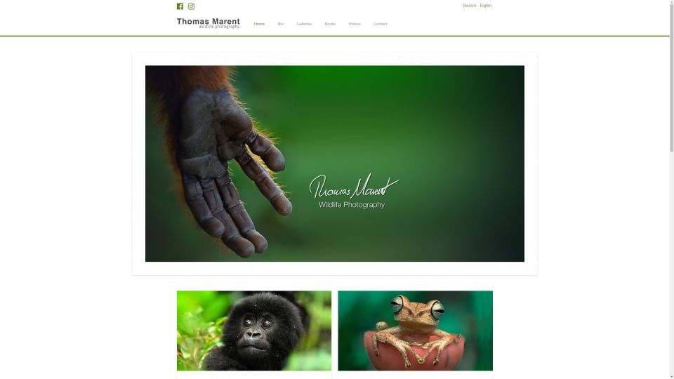 MediaFish Web Design - Thomas Marent Wildlife Photographer